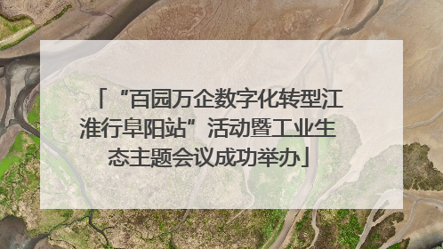 “百园万企数字化转型江淮行阜阳站”活动暨工业生态主题会议成功举办